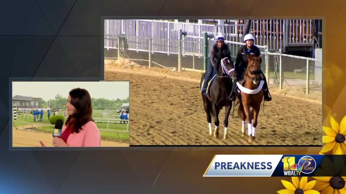 Entertainment for Preakness goes to total new level