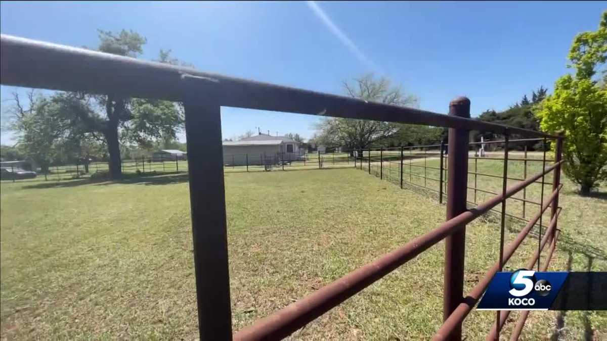 Oklahoma County sheriff determines pack of dogs killed woman