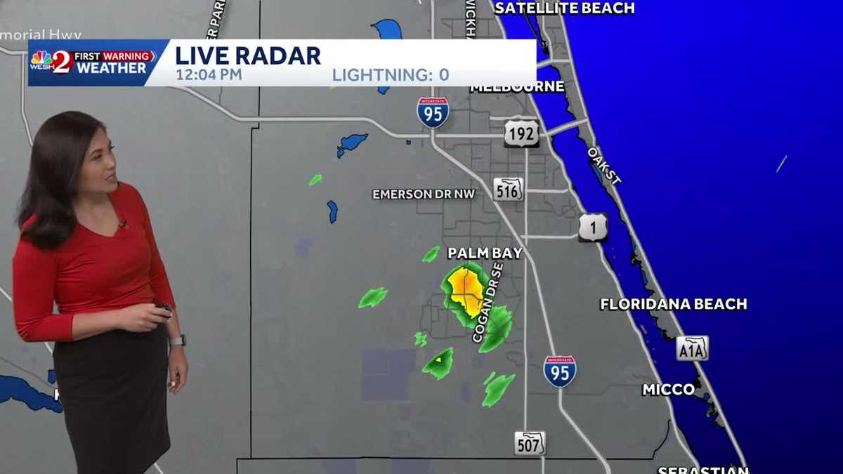 Hot and Humid With A Few Storms