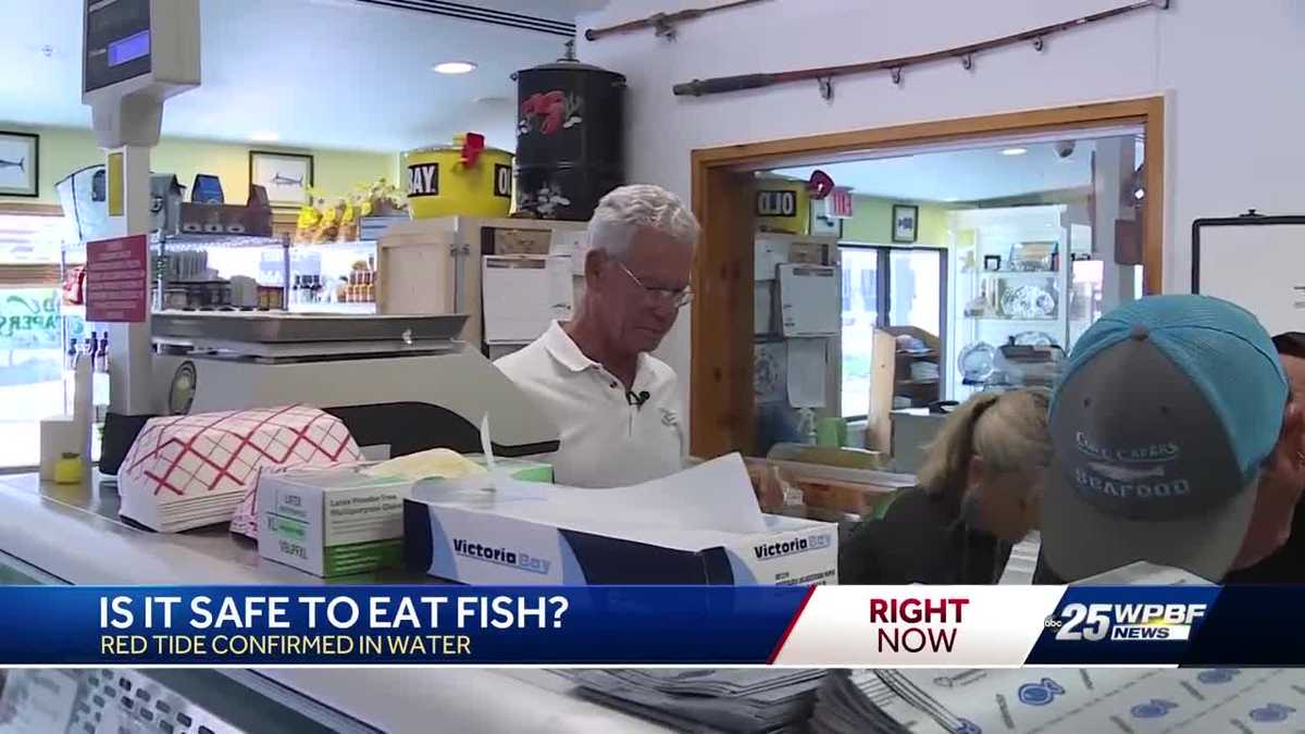 Health Dept: Local fish is safe to eat as long as it is caught alive