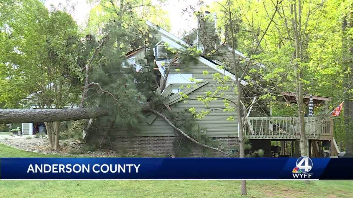 Couple made narrow escape when tree fell on home during storm