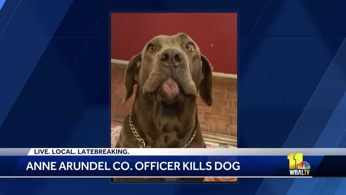 Owner said dog shot to death by Anne Arundel County police officer was