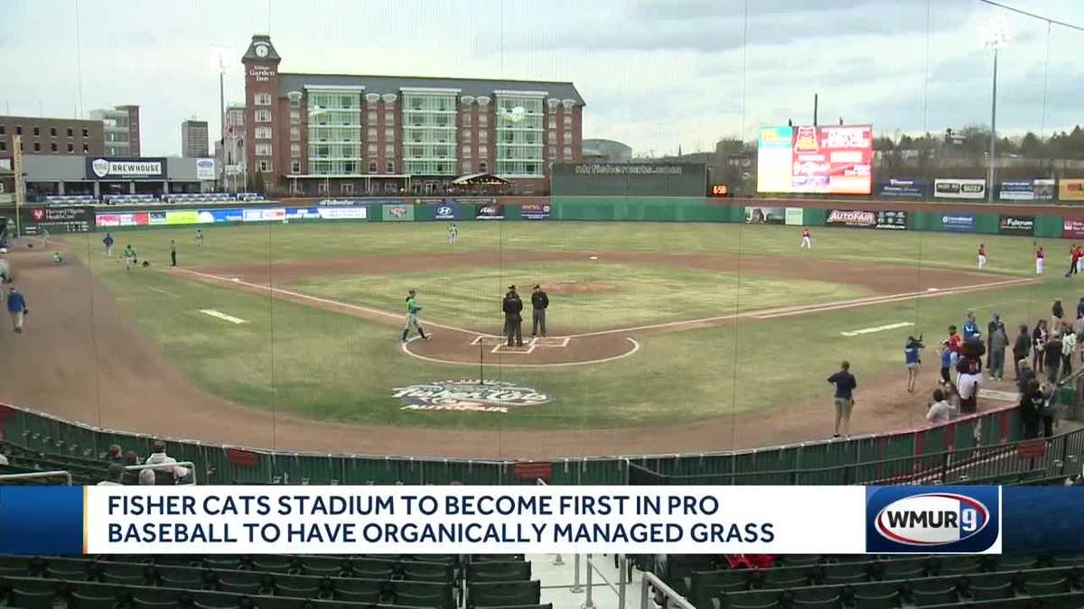 Fisher Cats' stadium to first in pro baseball to have