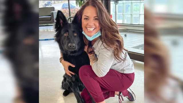 Iowa bartender helps connect woman to missing dog - Vimarsana News