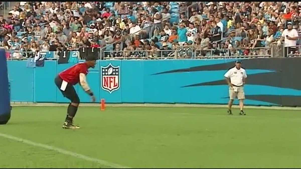 Carolina Panthers kick off training camp with fan fest