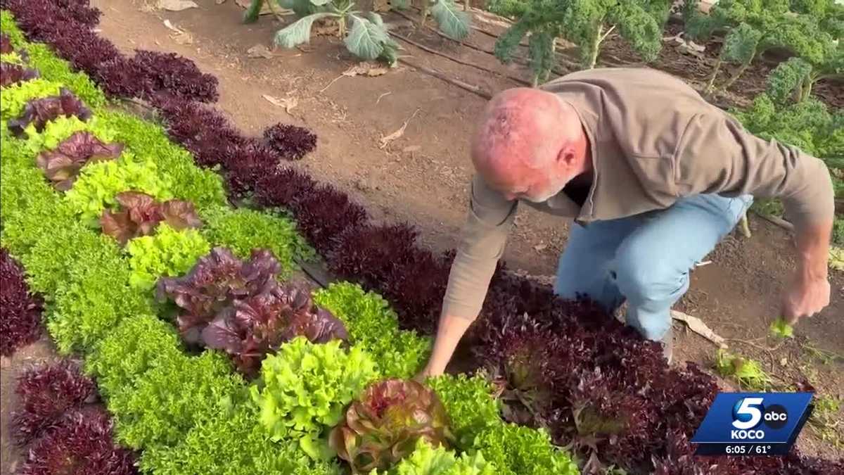 USDA announces $12 billion aid for farmers affected by market disruptions