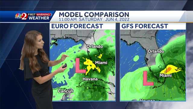 Florida to be impacted by tropical system - Vimarsana News