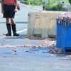 'Felt like something out of SpongeBob': Squid spill covers Rhode Island roadway