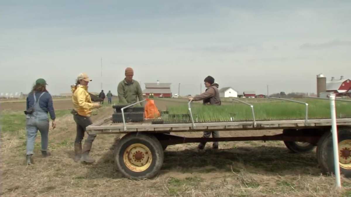 Iowa group plants food for food pantries