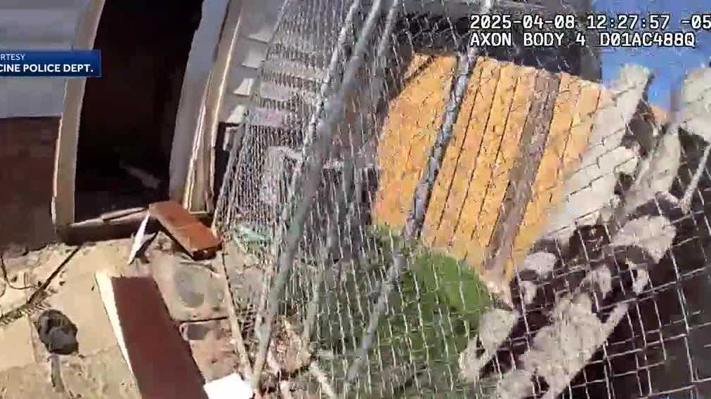 Racine police officer saves man, two dogs from burning home