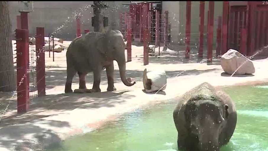 ABQ BioPark Zoo receives criticism from animal rights organization