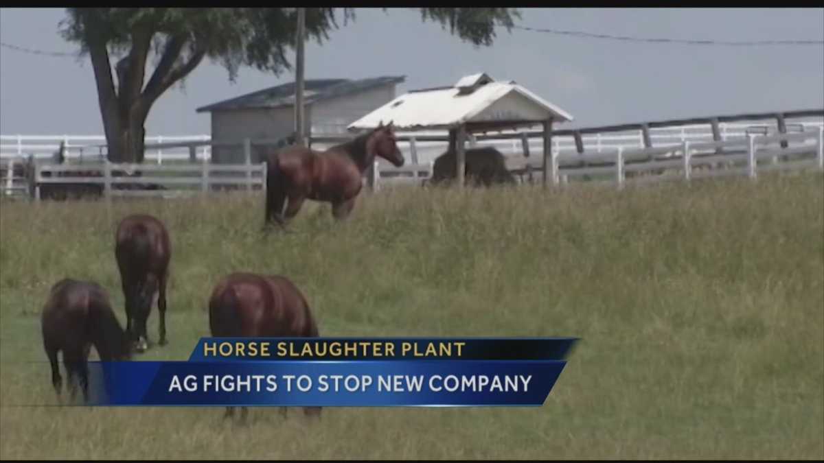 Horse slaughter plant AG fights to stop company