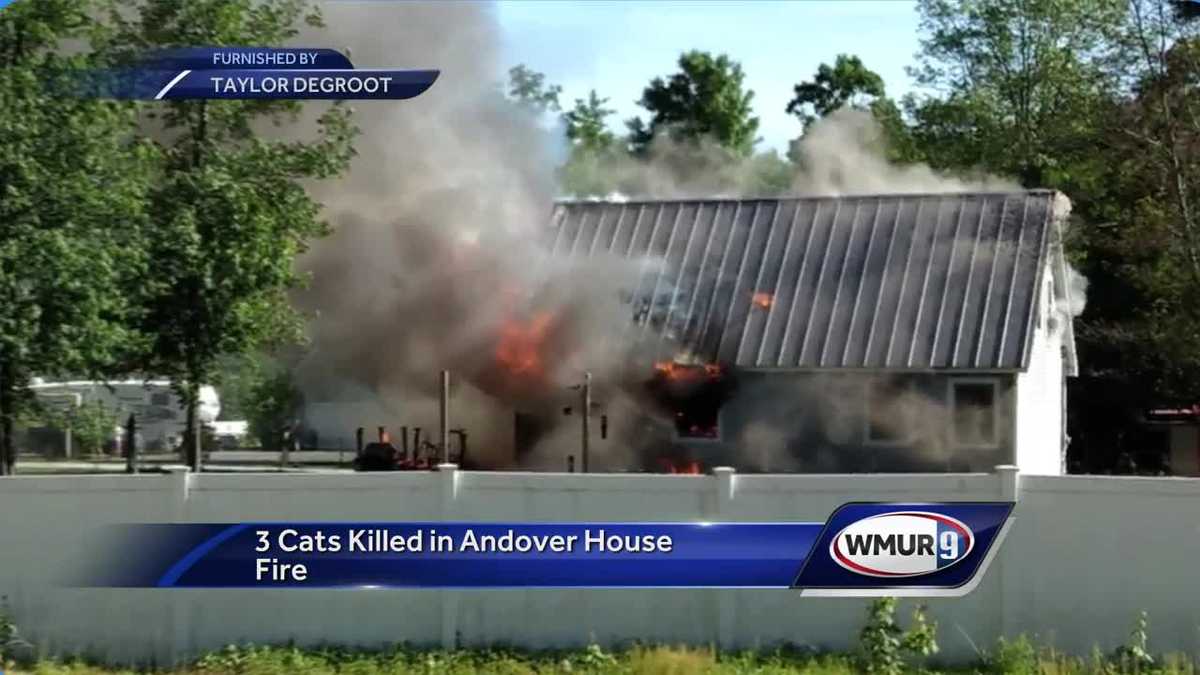 3 cats killed in Andover house fire