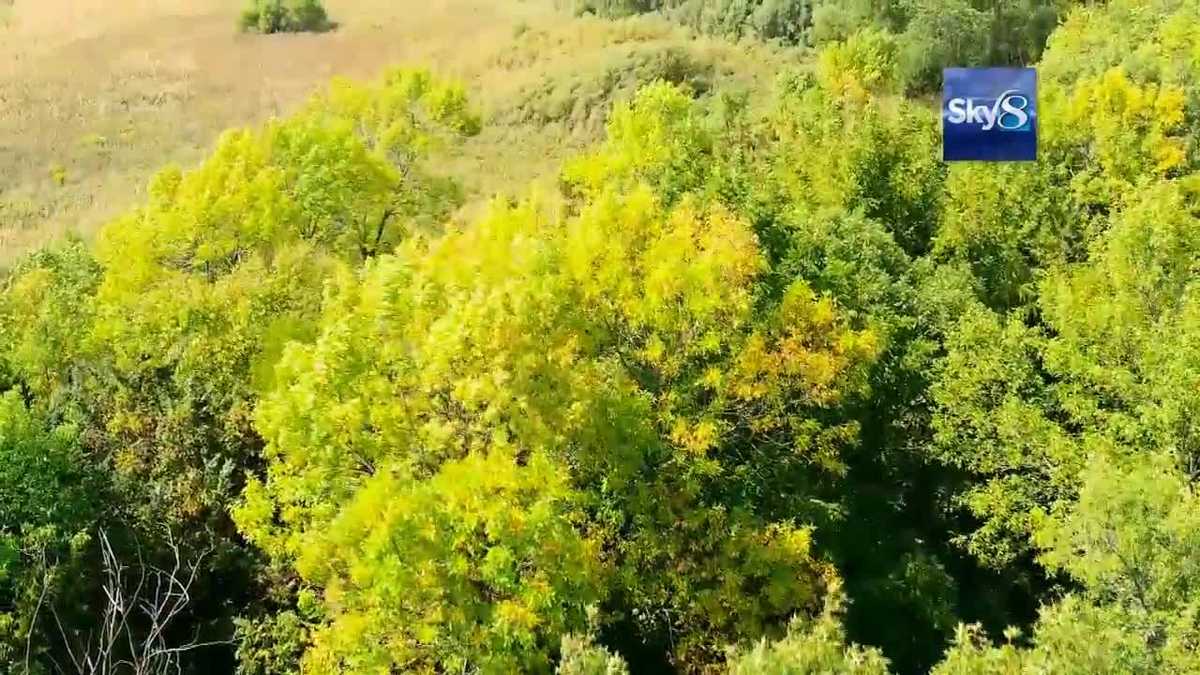 RAW: Early fall foliage tour with Sky 8