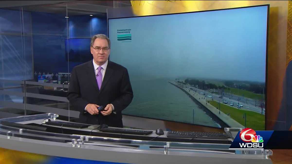 Foggy mornings and a stormy weekend
