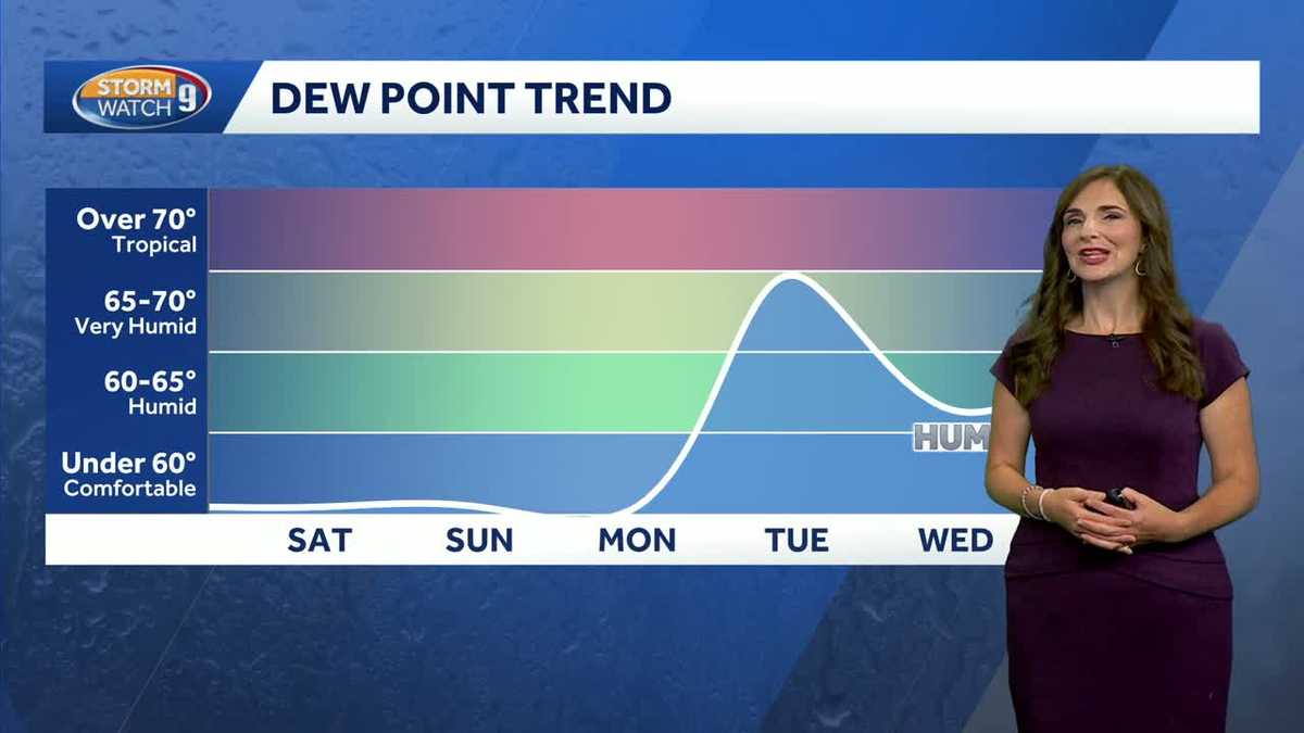 Sunny and comfortable Saturday ahead of stray shower chances later this weekend
