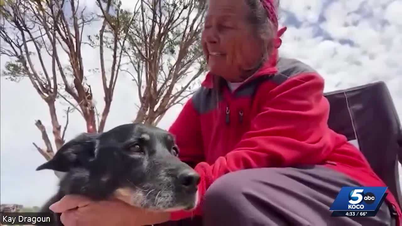 Dog rescued after 44 hours under tornado rubble reunites with owner in Enid