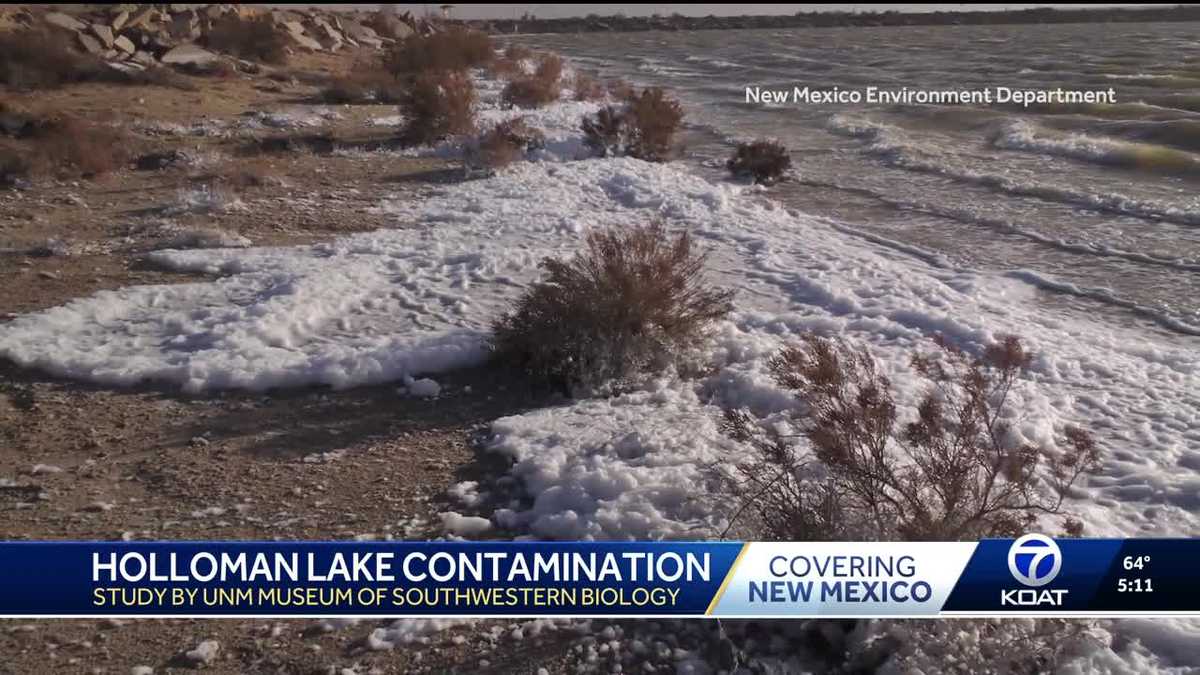 Record levels of PFAS contamination found at Holloman Lake, New Mexico