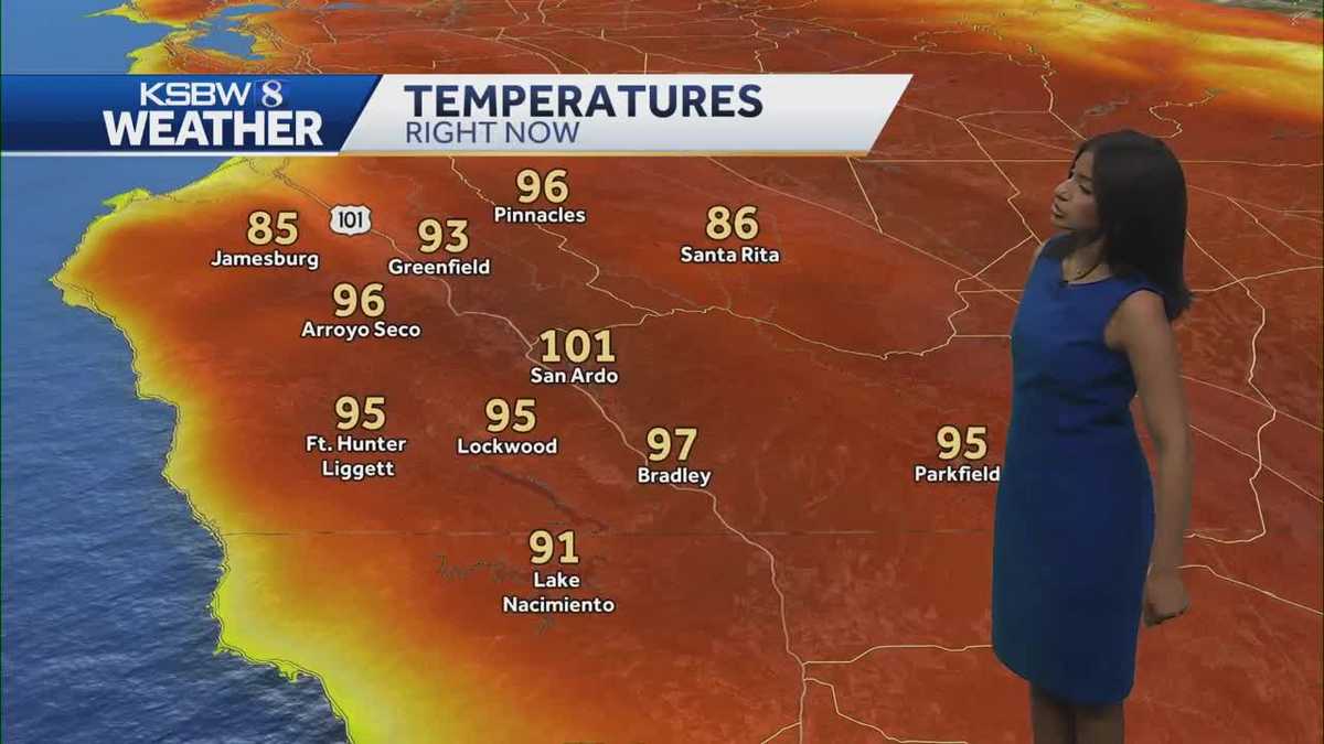 Cooling trend and patchy fog forecasted for the weekend