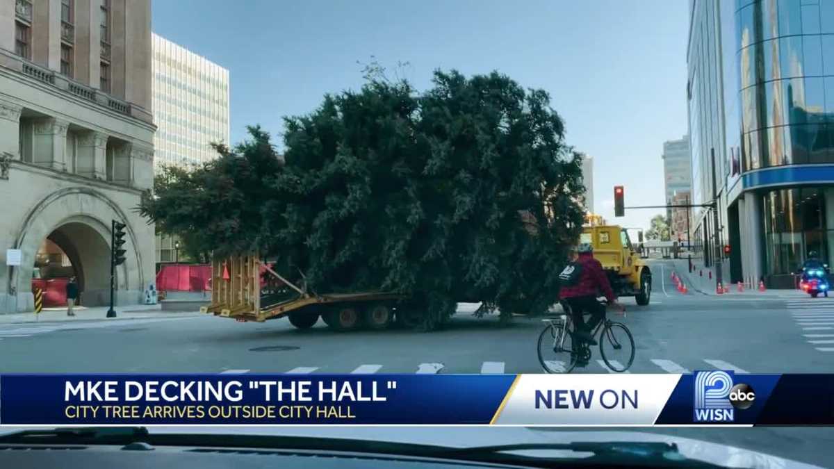 Milwaukee Christmas tree cut down, taken to City Hall