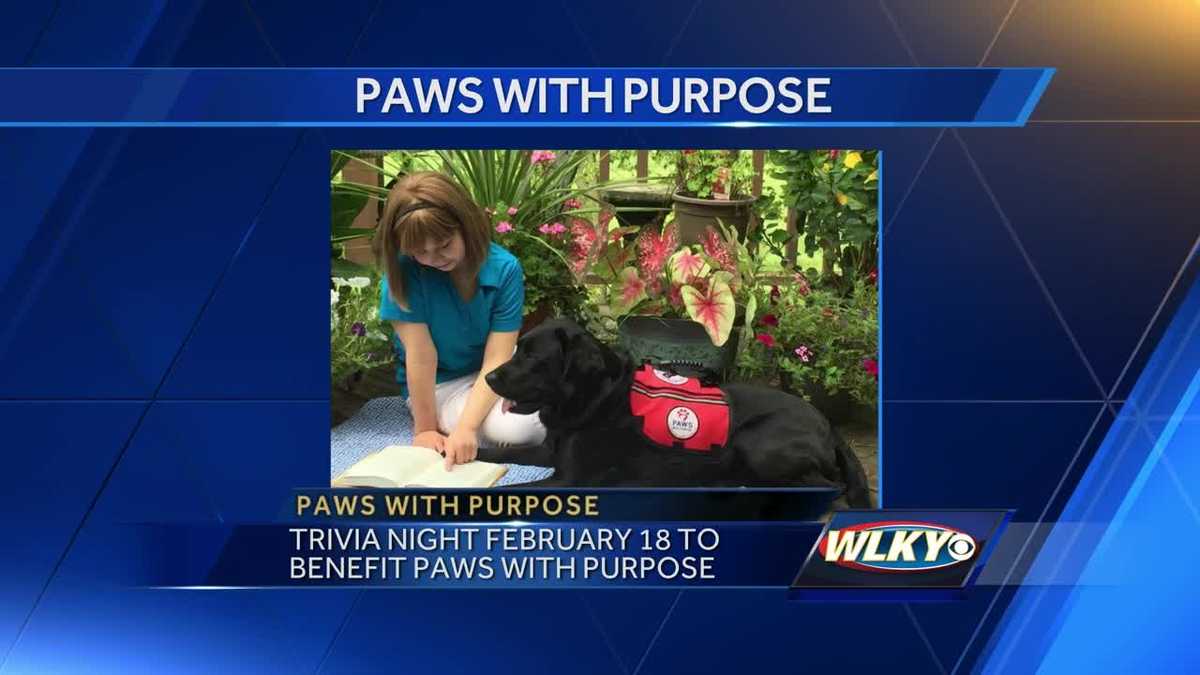 Local non-profit is raising money to help train puppies become service dogs