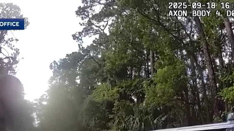 Central Florida father in ICE custody after daughter pulled over for a traffic stop