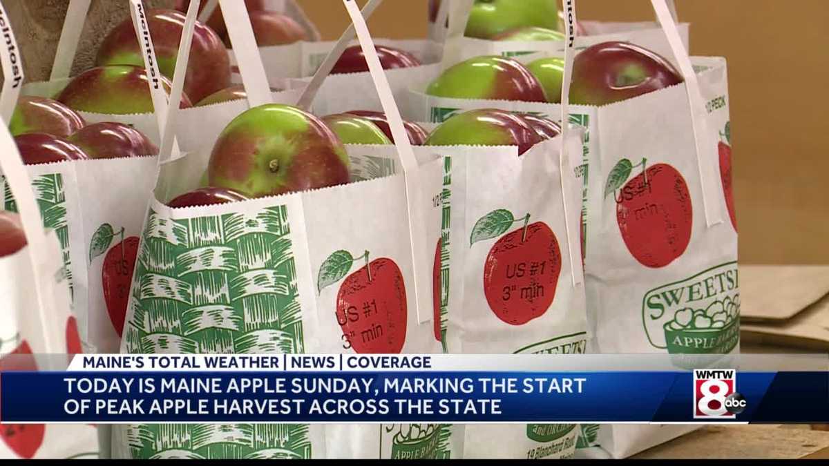 Local orchards celebrate Maine Apple Sunday