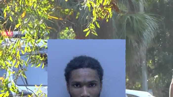 Fort Myers man arrested for leading police on chase in stolen car