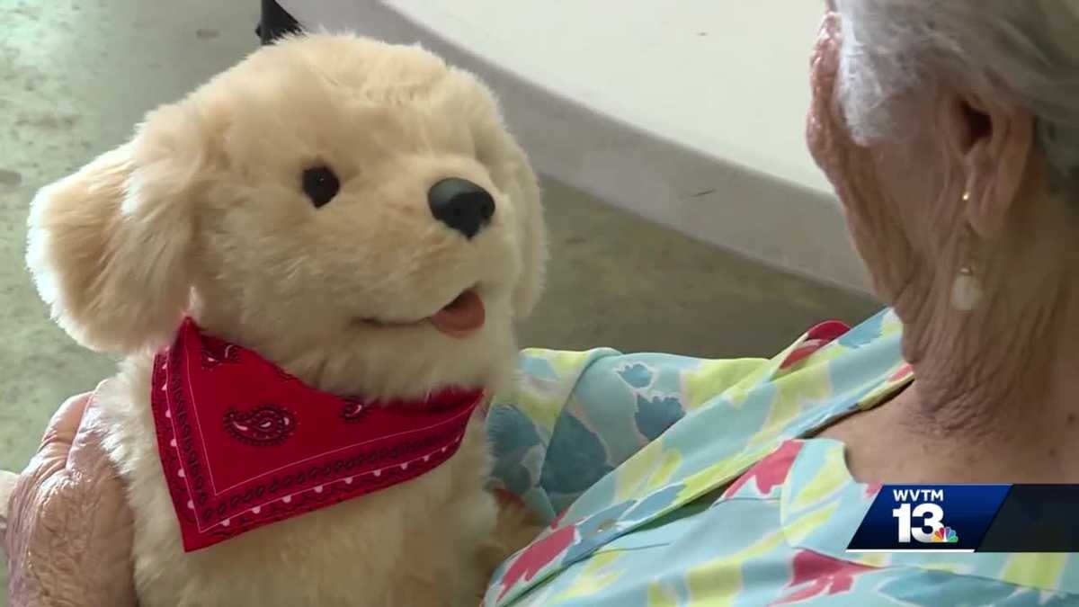 Springville seniors given robotic pets to help combat loneliness during