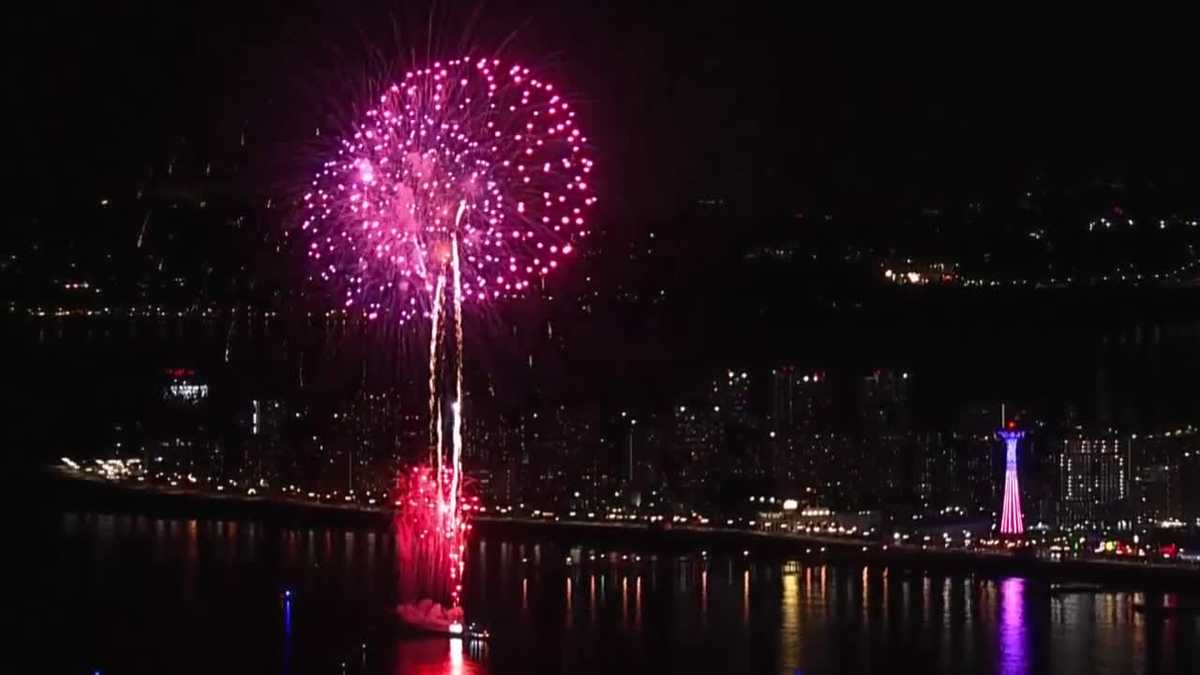 First in series of Macy's fireworks shows lights up over New York
