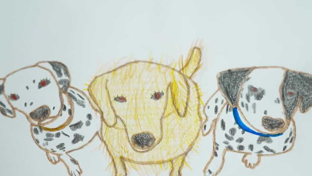 Ugly pet portraits fundraiser supports Patty Baker Humane Society shelter pets in Naples