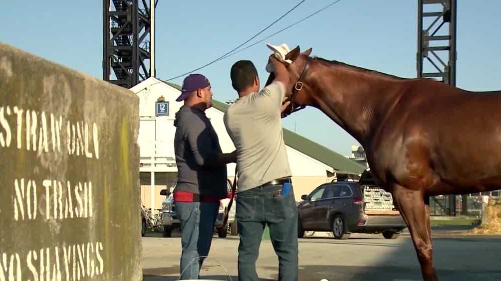 Horse Racing Industry Urges Immigration Reform Amid Labor Crisis