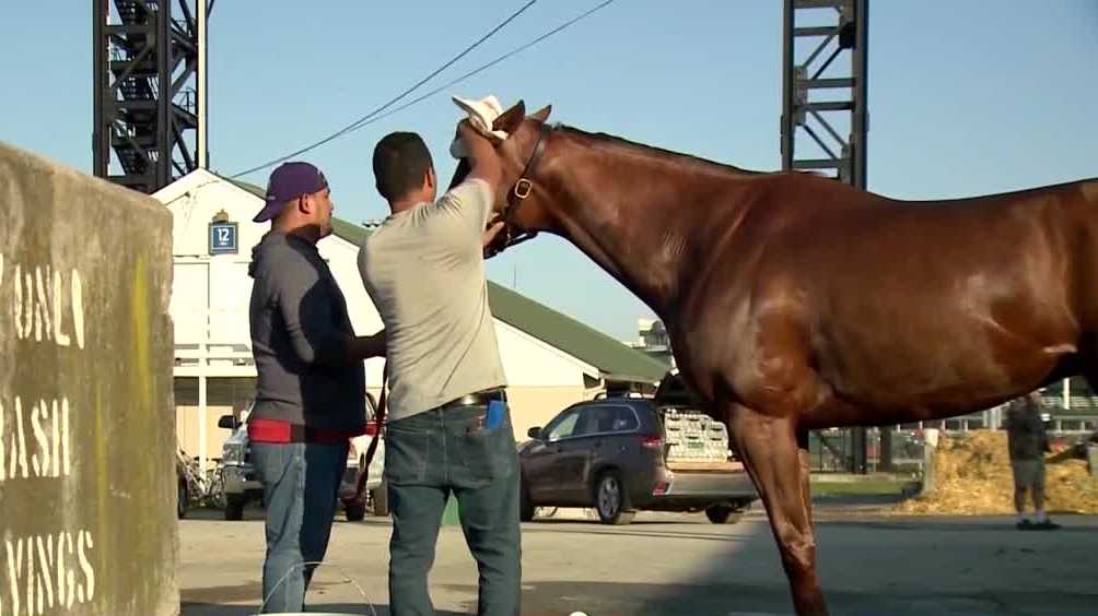 Horse Racing Industry Urges Immigration Reform Amid Labor Crisis