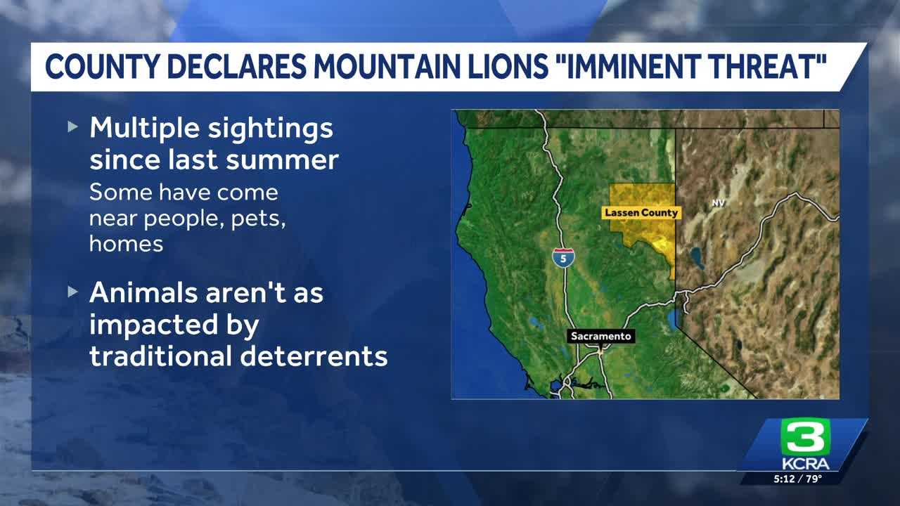 Lassen County declares mountain lions a public safety threat