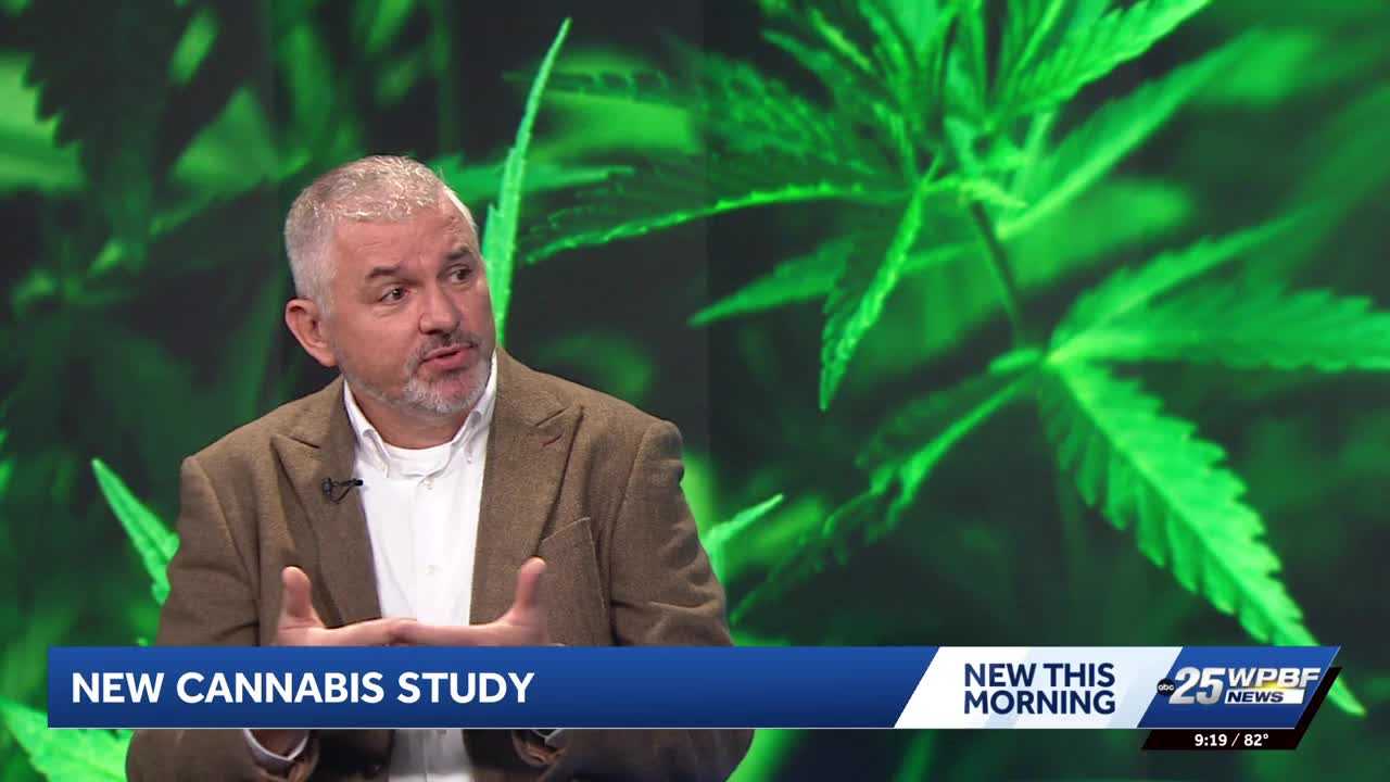 wpbf.com - Cannabis use disorder: What one doctor says to know