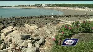 Police say man exposed himself to children at Rye beach