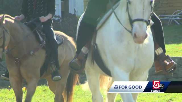 Equestrian program helps students working through trauma - Vimarsana News