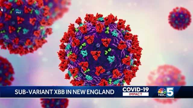 New COVID-19 subvariant present in Vermont according to CDC, raising hospitalization levels - Vimarsana News