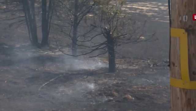 Vegetation fire forces evacuations north of Vacaville - Vimarsana News