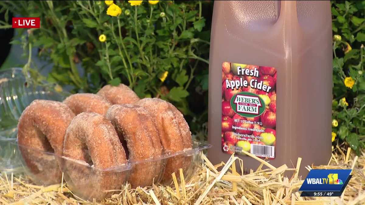 Pies and apple-picking with Weber’s Cider Mill Farm - WBAL