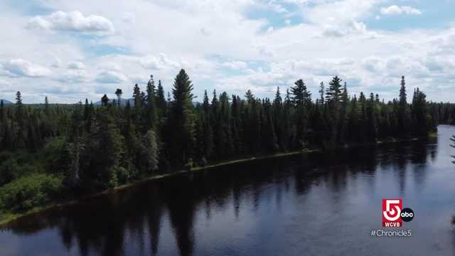 Anthony's Favorites: Maine's remote Golden Road - Vimarsana News