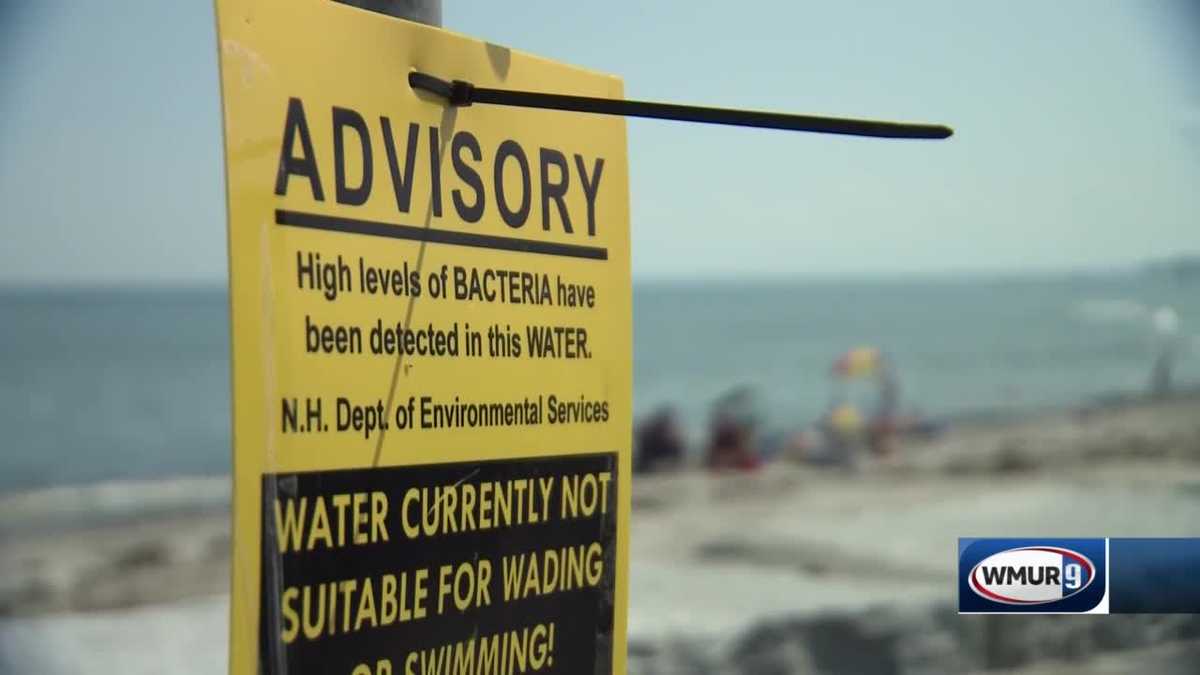 16 NH beaches test positive this week for elevated levels of bacteria