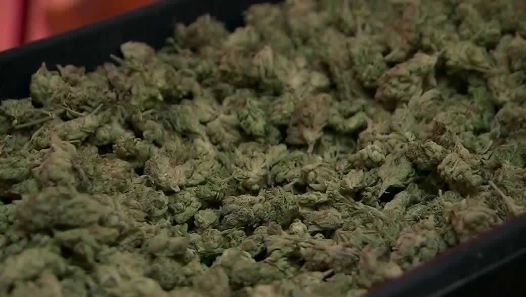 President Trump signs executive order to reclassify marijuana, may expand medical and CBD research