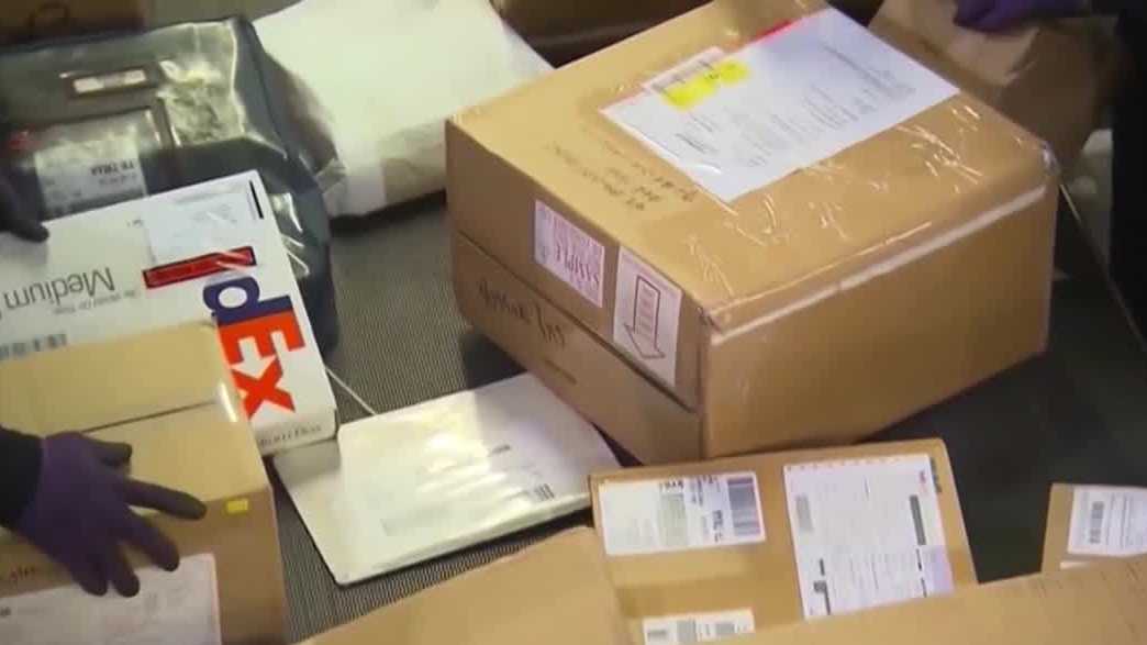 Job seeker falls for re-shipping scam tied to Palm Bay business name