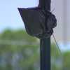 More Flock cameras targeted in Volusia County