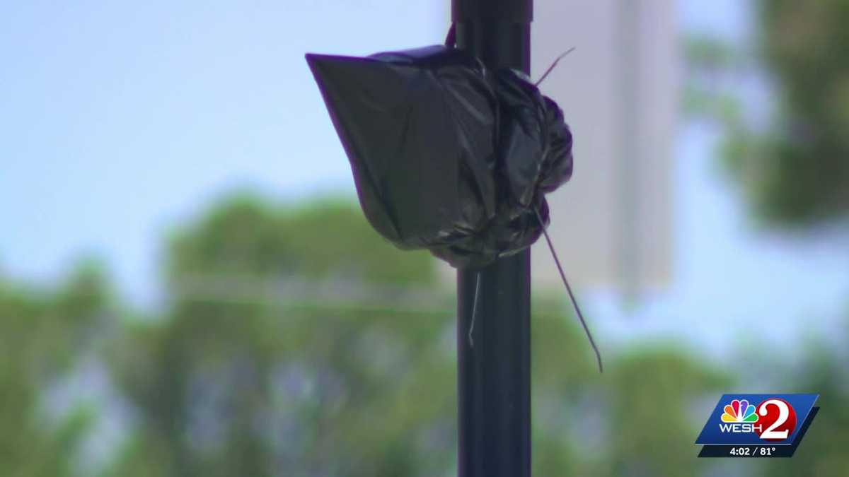 More Flock cameras targeted in Volusia County