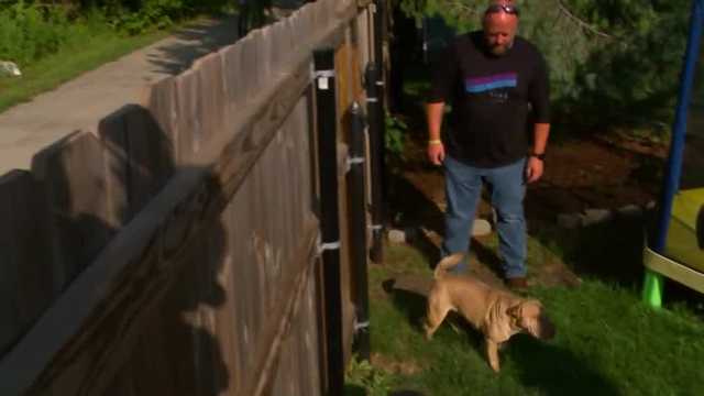 Iowa homeowners concerned over mysterious dog death - Vimarsana News