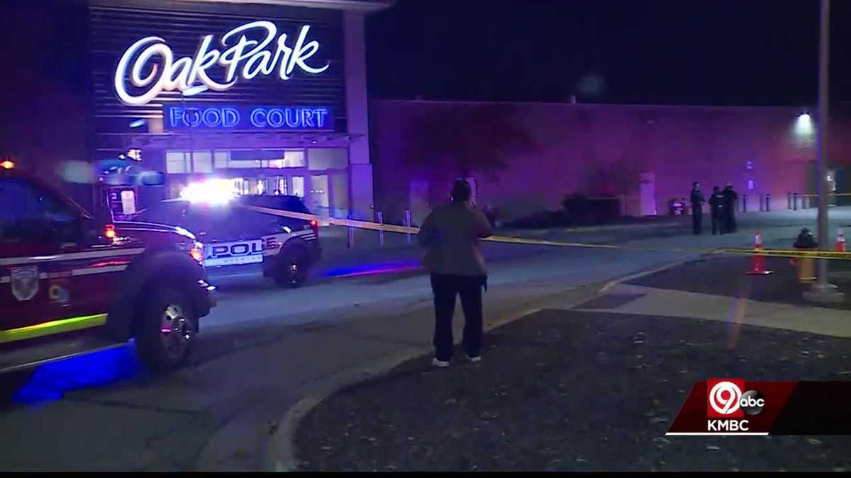 No arrests made after shots fired at Oak Park Mall