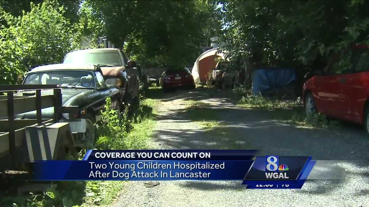 Police: 2 young children injured after dog attack in Lancaster