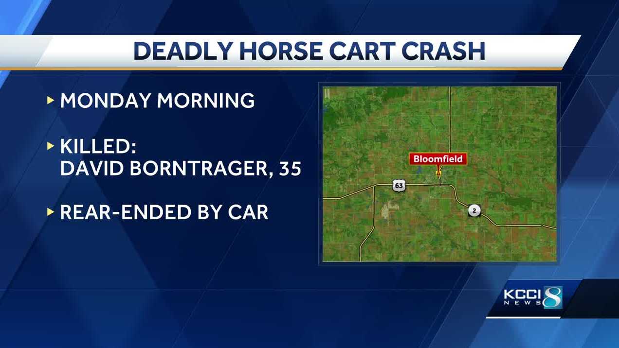 Fatal Iowa crash: Car rear-ends horse-drawn cart near Bloomfield - Vimarsana News